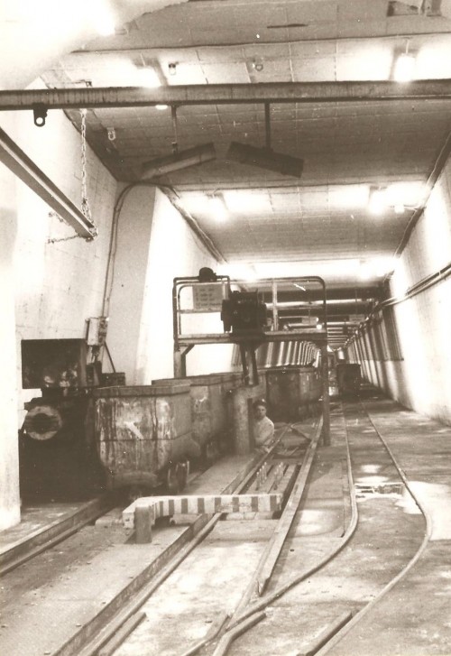144.jpg
