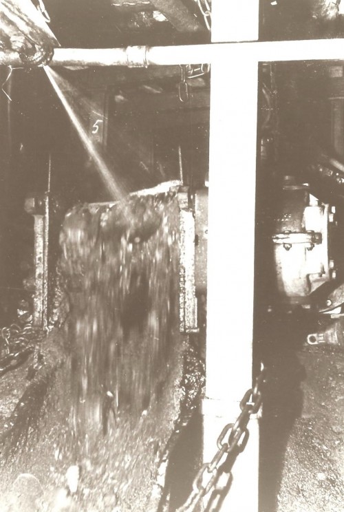 161.jpg
