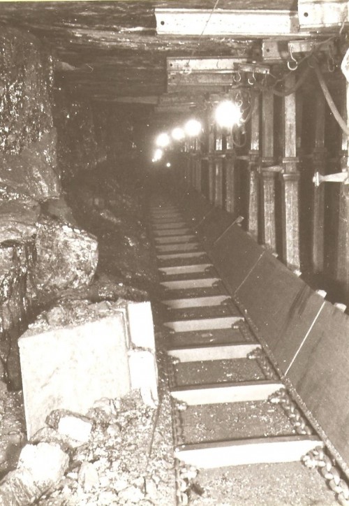 167.jpg
