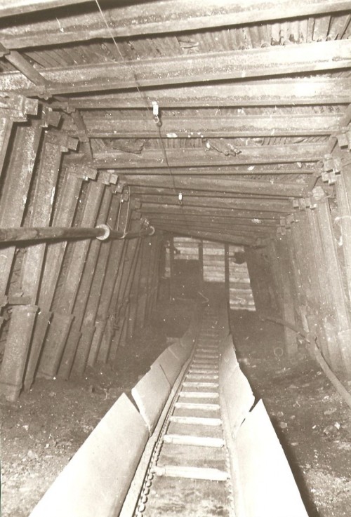174.jpg