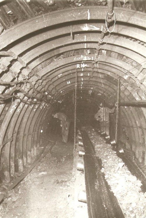 176.jpg