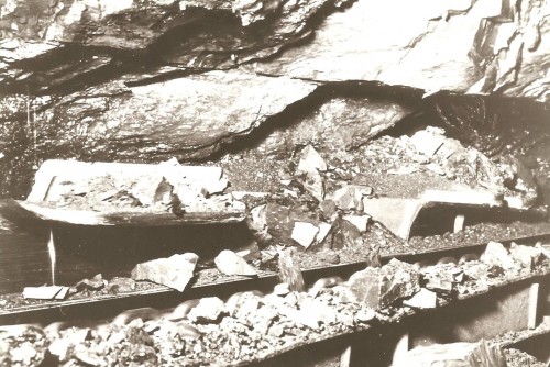 185.jpg
