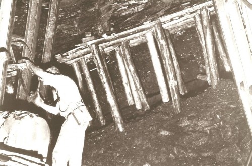 191.jpg