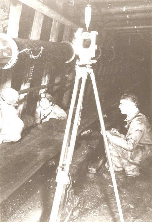 194.jpg
