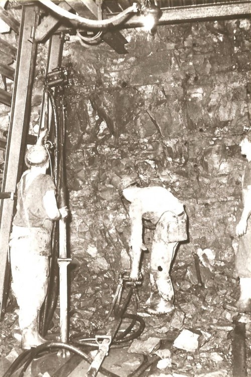 195.jpg
