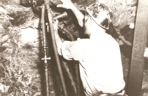 196.jpg