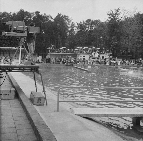 Nederlandse kampioenschappen zwemmen werden in 1961 in zwembad Terworm gehouden.